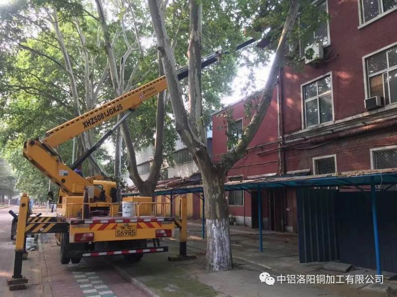 1667354012964574.jpg 640.jpg